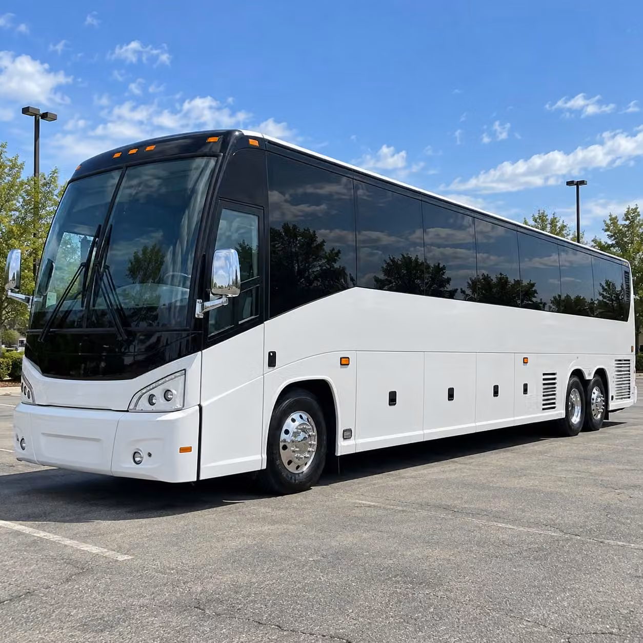 hoover sports team fan transportation services